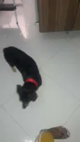 Indefinido