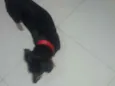 Indefinido