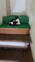 Arya