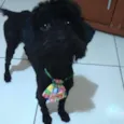 Bilu