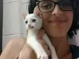 Costelinha