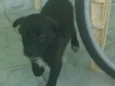 Aínda sem nome