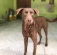 Loki