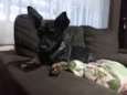 Nina