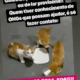 Sem nome
