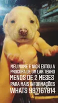 Nick 