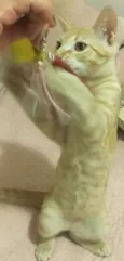 MIMO LARANJA
