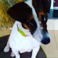 Menina
