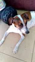 Menina