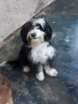 Marley