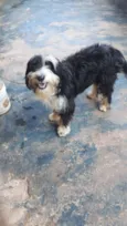 Marley