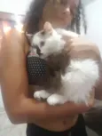 Fani