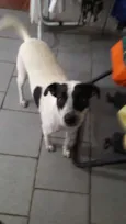 Nina