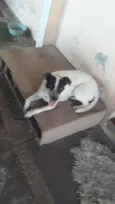 Nina