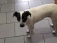 Nina