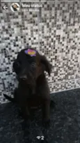 Penélope Fred