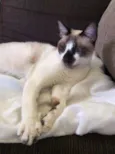Alberto