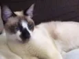 Alberto