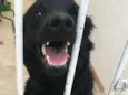 Kita