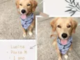 Lupita