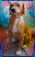 Lupita