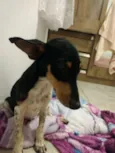 Não sei 