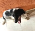 Kiara