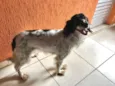 Kiara