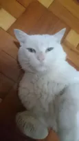 Shiva