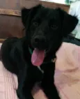 Guri
