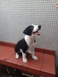 Willy