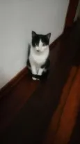 Yoquio