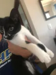 Fiona