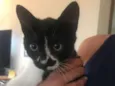 Fiona