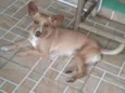 Marley
