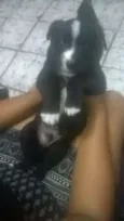 Ainda sem nome