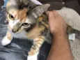 Angela