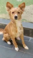 Julie