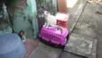 Peludinhos