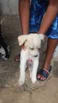 Sem nomes