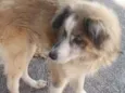 Bilu