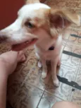 Bebê