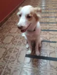 Bebê