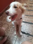 Bebê