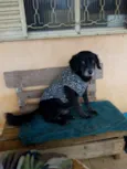Sid