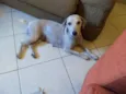 Princesa