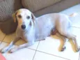 Princesa