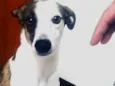Théo