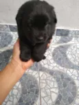 Não sei