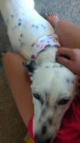 Princesa
